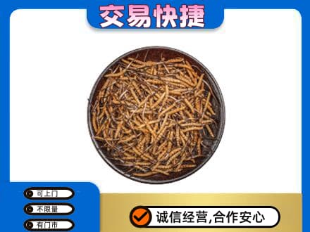 龙岩市高价回收散虫草